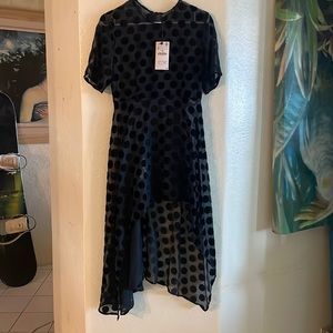 Zara Sheer Dress